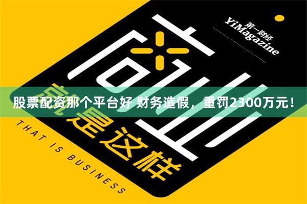 股票配资那个平台好 财务造假，重罚2300万元！