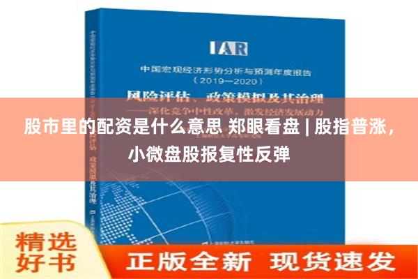 股市里的配资是什么意思 郑眼看盘 | 股指普涨，小微盘股报复性反弹