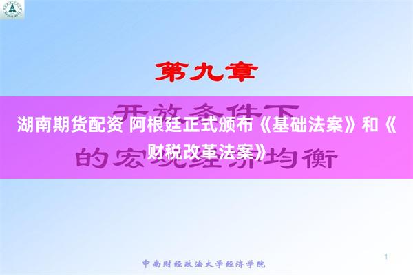 湖南期货配资 阿根廷正式颁布《基础法案》和《财税改革法案》