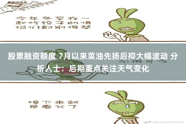 股票融资额度 7月以来菜油先扬后抑大幅波动 分析人士：后期重点关注天气变化