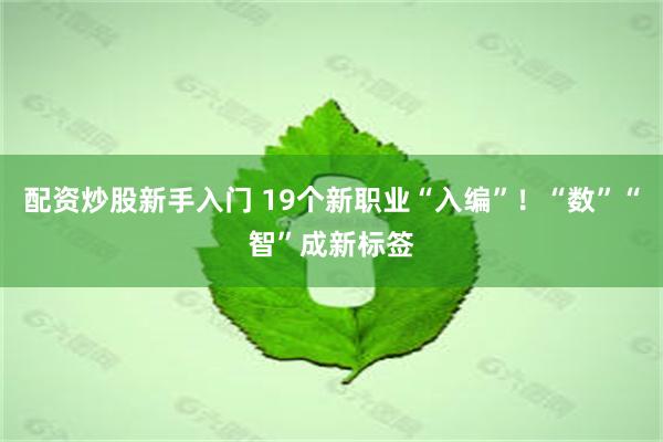 配资炒股新手入门 19个新职业“入编”！“数”“智”成新标签