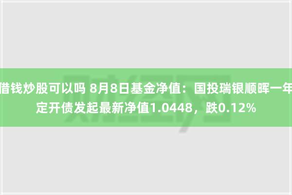 借钱炒股可以吗 8月8日基金净值：国投瑞银顺晖一年定开债发起最新净值1.0448，跌0.12%