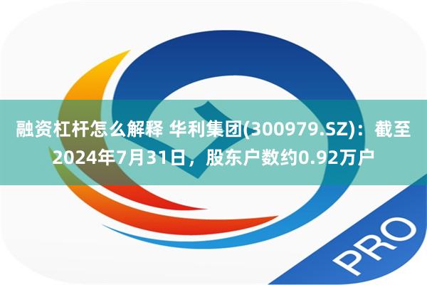 融资杠杆怎么解释 华利集团(300979.SZ)：截至2024年7月31日，股东户数约0.92万户