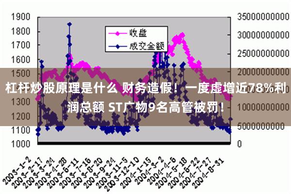 杠杆炒股原理是什么 财务造假！一度虚增近78%利润总额 ST广物9名高管被罚！