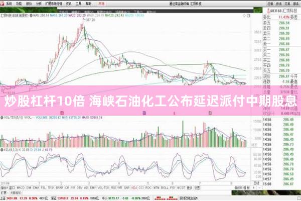 炒股杠杆10倍 海峡石油化工公布延迟派付中期股息