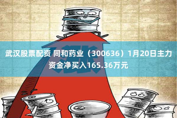 武汉股票配资 同和药业（300636）1月20日主力资金净买入165.36万元