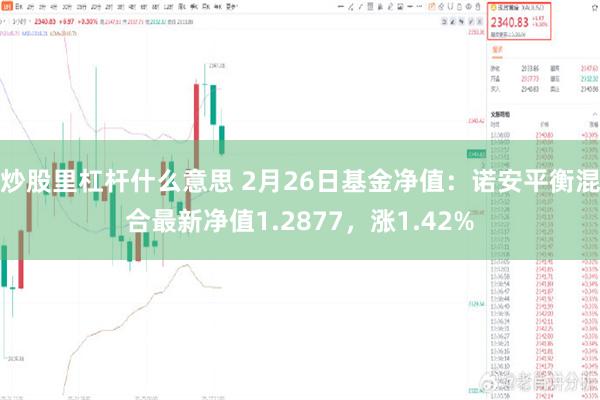 炒股里杠杆什么意思 2月26日基金净值：诺安平衡混合最新净值1.2877，涨1.42%